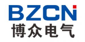 BZCN logo