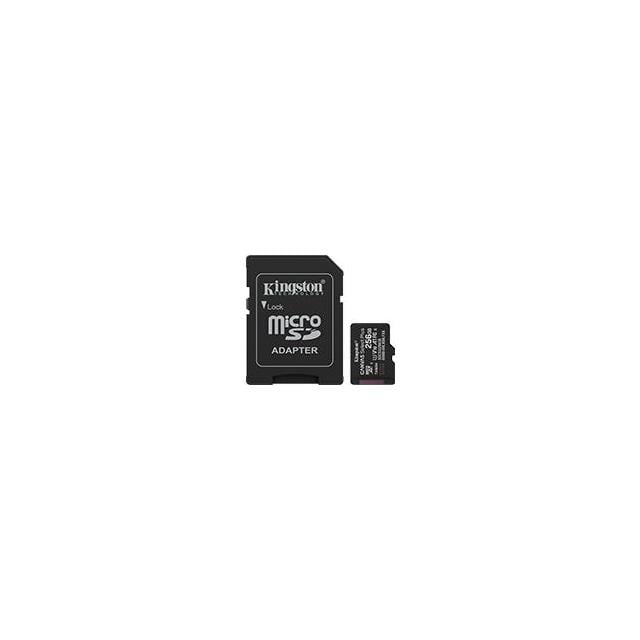SDS3/256GB Kingston Technology SD-CARD package reference