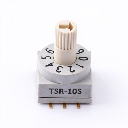 TSR-10S ROTARY DIP SWITCH package illustration